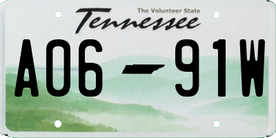 TN license plate A0691W