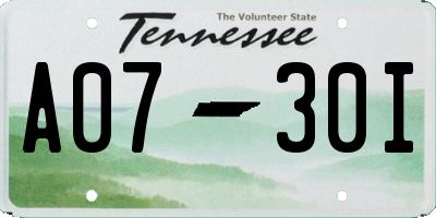 TN license plate A0730I