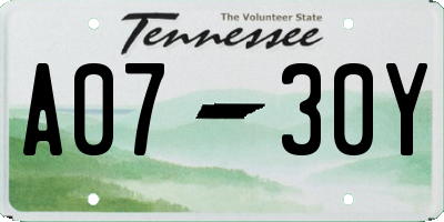 TN license plate A0730Y