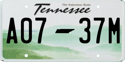 TN license plate A0737M