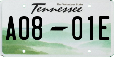 TN license plate A0801E