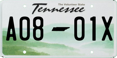 TN license plate A0801X