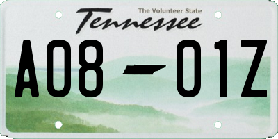 TN license plate A0801Z