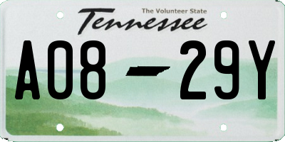 TN license plate A0829Y