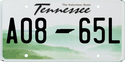 TN license plate A0865L