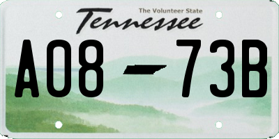 TN license plate A0873B
