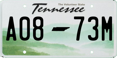 TN license plate A0873M