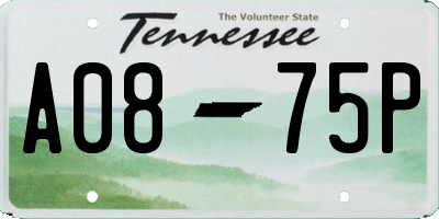 TN license plate A0875P