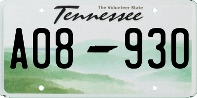 TN license plate A0893O