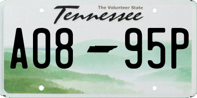 TN license plate A0895P