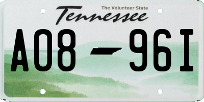 TN license plate A0896I