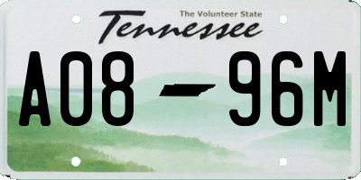 TN license plate A0896M