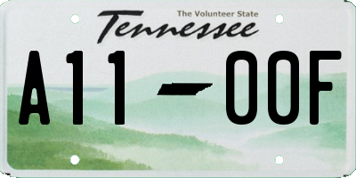 TN license plate A1100F
