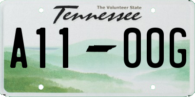 TN license plate A1100G