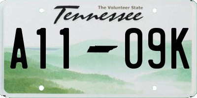 TN license plate A1109K