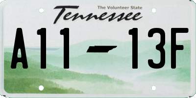 TN license plate A1113F
