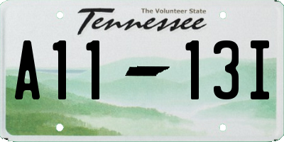 TN license plate A1113I