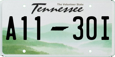 TN license plate A1130I