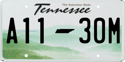 TN license plate A1130M