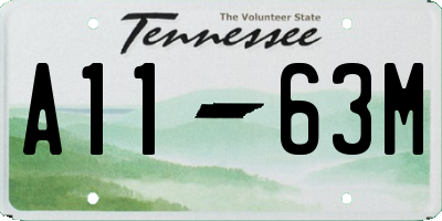 TN license plate A1163M