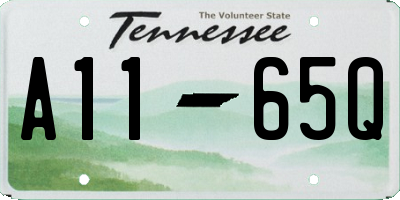 TN license plate A1165Q