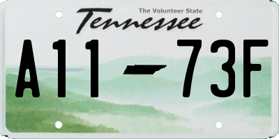 TN license plate A1173F
