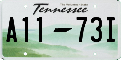TN license plate A1173I