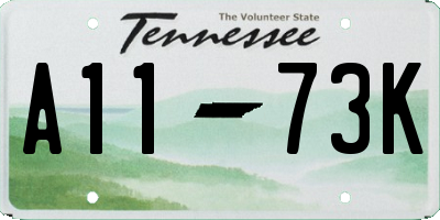 TN license plate A1173K
