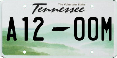 TN license plate A1200M