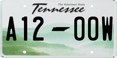 TN license plate A1200W