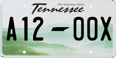 TN license plate A1200X