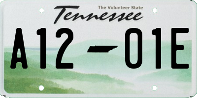 TN license plate A1201E