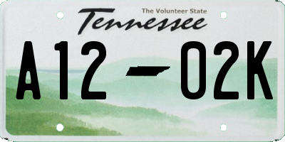 TN license plate A1202K