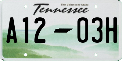 TN license plate A1203H