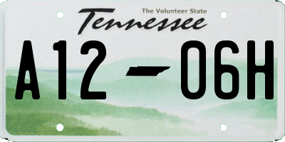TN license plate A1206H