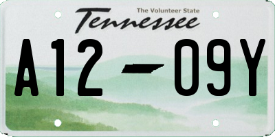 TN license plate A1209Y