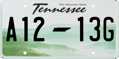 TN license plate A1213G