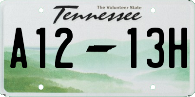 TN license plate A1213H