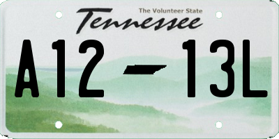 TN license plate A1213L
