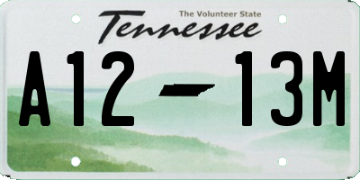 TN license plate A1213M