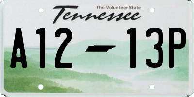 TN license plate A1213P