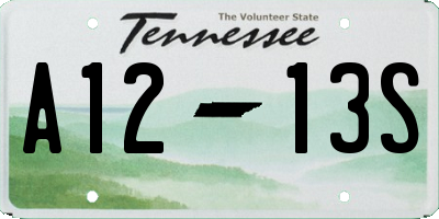 TN license plate A1213S