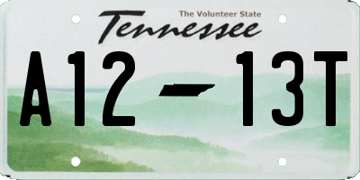 TN license plate A1213T