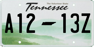 TN license plate A1213Z