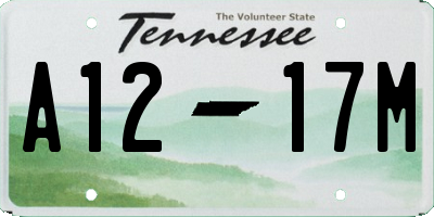 TN license plate A1217M