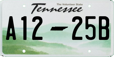 TN license plate A1225B