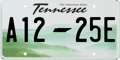 TN license plate A1225E