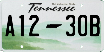 TN license plate A1230B