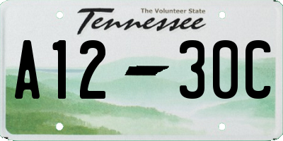 TN license plate A1230C