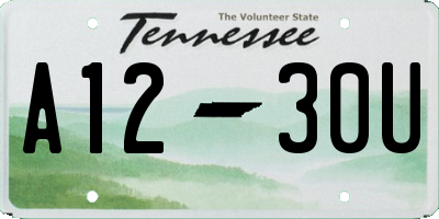 TN license plate A1230U